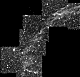 Vela