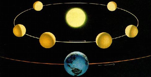 Orbita di Venere e relative fasi
