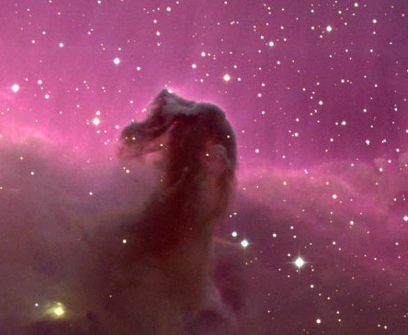 Barnard 33: The Horsehead Nebula