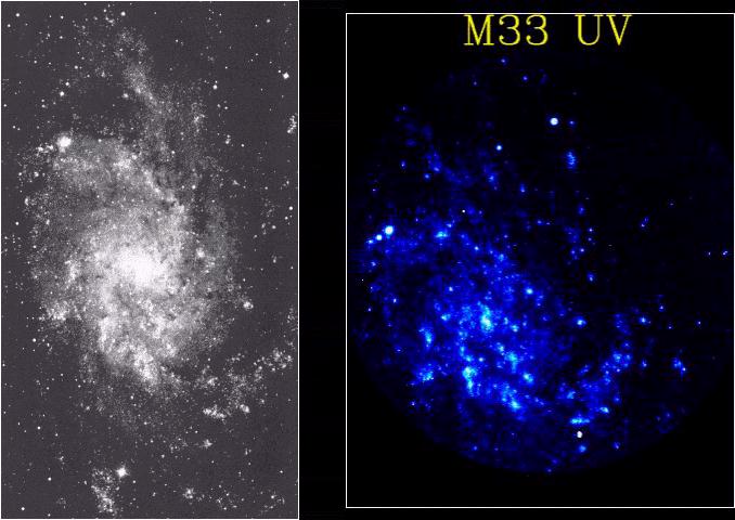 Galaxy M 33 (NGC 598) in Triangulum: Visual, UV