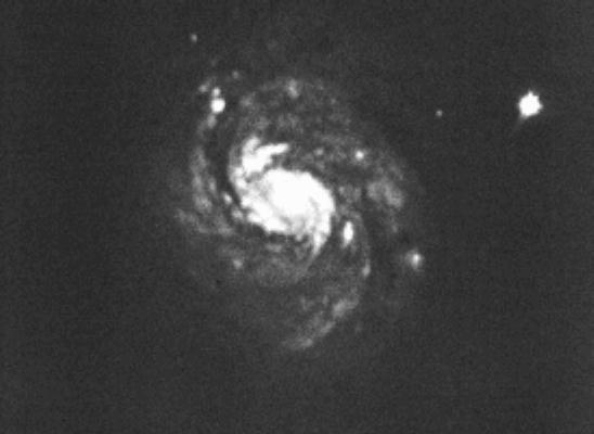 Galaxy M 77 (NGC 1068) in Cetus