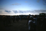 panorama 95%.gif (10138 byte)
