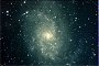 M 33