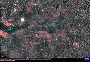 ngc6888