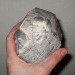 modello di Marte