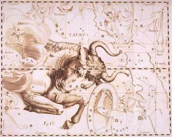 Rappresentazione della costellazione del Toro