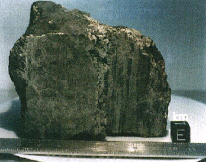 Meteorite ALH84001