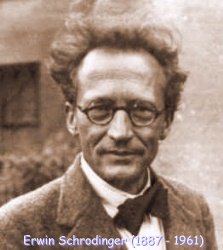 ritratto di Erwin Schrodinger (1887 - 1961)
