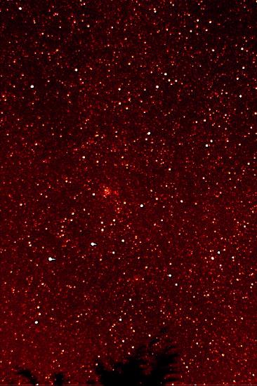 M 35 ammasso aperto in Gemini - NGC 2168
