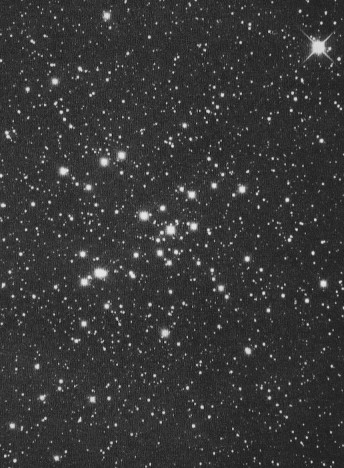 M 41 (NGC 2287) - Open Cluster , type 'e', in Canis Major