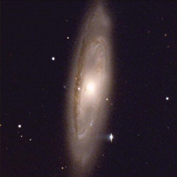 Spiral galaxy M 65 (NGC 3623) in Leo