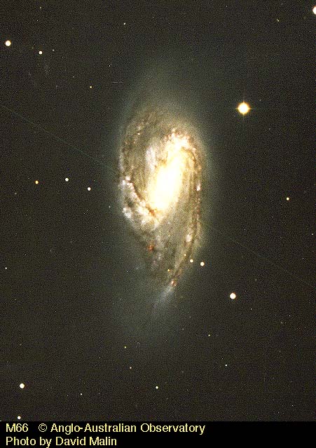 Spiral Galaxy M66 (NGC 3627), type Sb, in Leo
