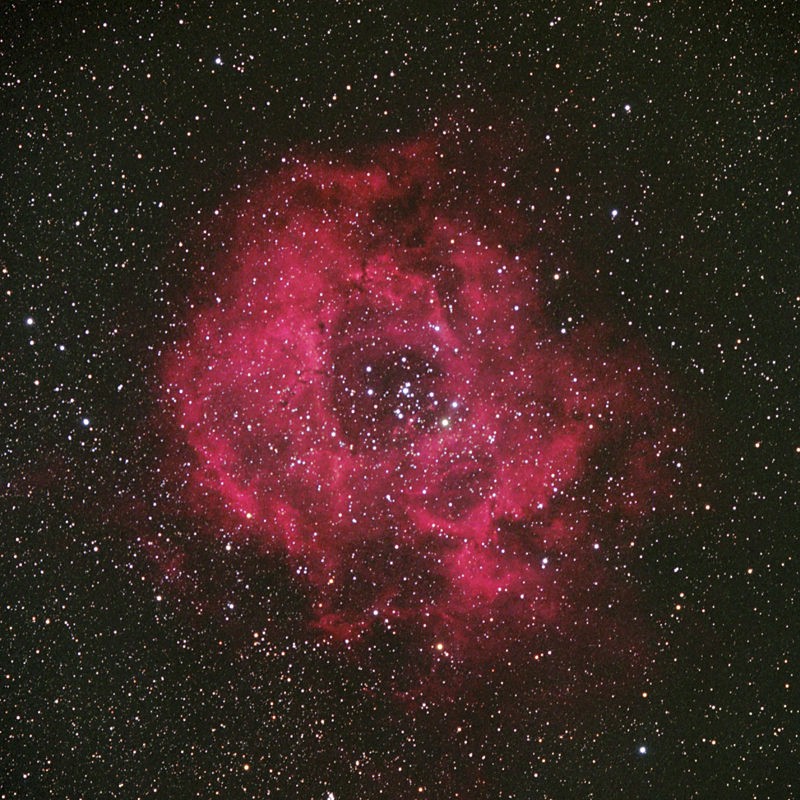 Nebulosa Rosetta (NGC 2237) in Unicorno (Monoceros)
