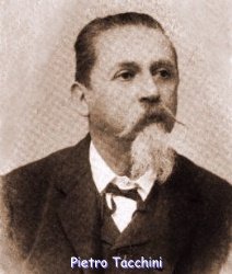 ritratto di Pietro Tacchini (1838 - 1905)