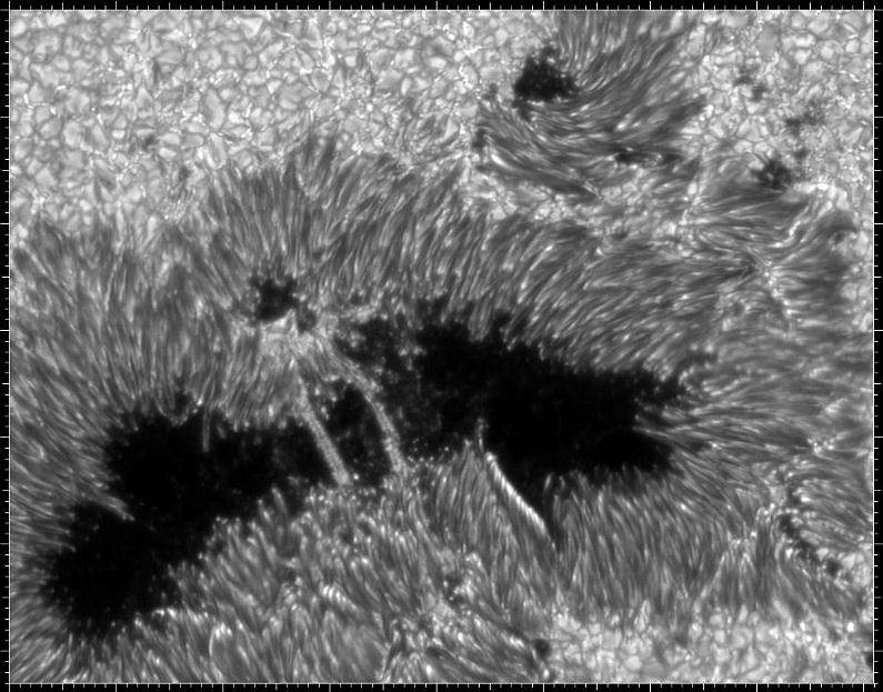AR 9169: A Large Sunspot (25.9.2000)