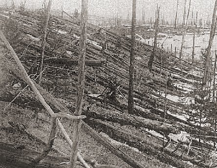 la foresta a Tunguska