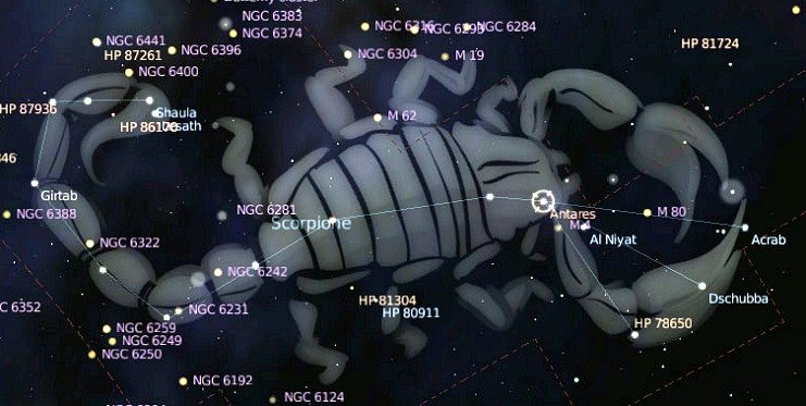 Le Scorpion (Scorpius)