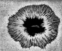 macchia solare