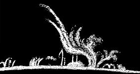 protuberanze solari